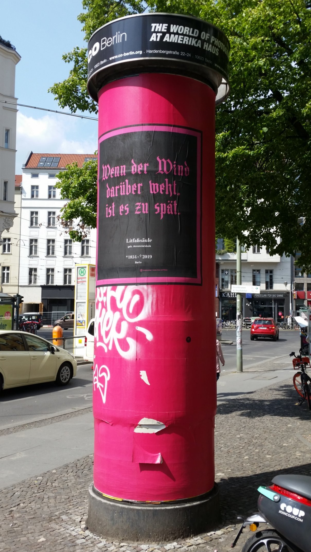 Bild/Foto